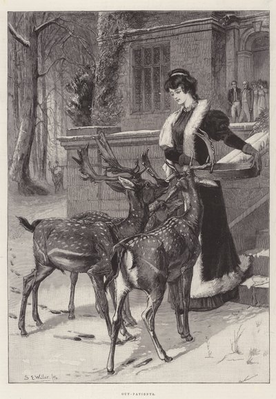 门诊 作者 塞缪尔·埃德蒙·沃勒